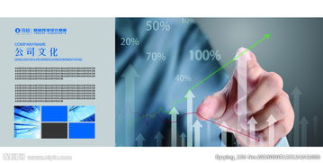 高端企業(yè)畫(huà)冊(cè) 精品 集團(tuán) 公司圖片