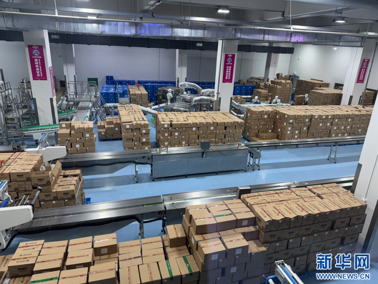 甘快看 甘肅永登——立足特色優勢，激活食品銷售新引擎，擘畫縣域經濟高質量發展新圖景